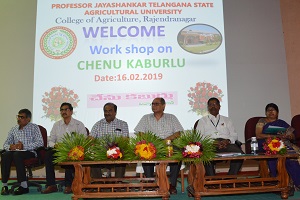 Workshop on Chenukaburlu 